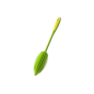Preview: Flaschenbürste Normal Limette